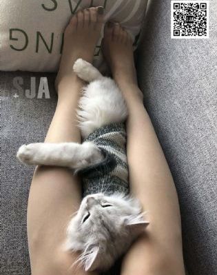 高清电影免费看_720HD在线观看
