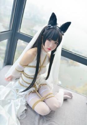 日韩av一区不卡_BD免费观看