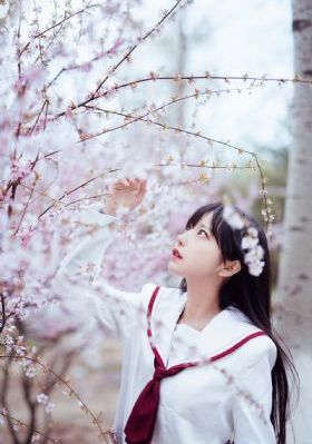 日韩无遮挡无码A片免费看_HDHD在线观看